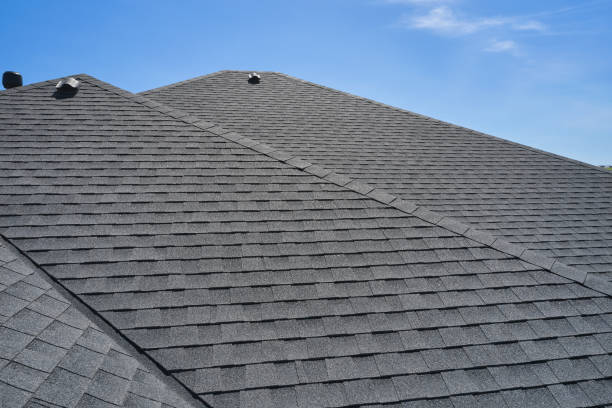 Best Roof Coating and Sealing  in Wona Lake, IN